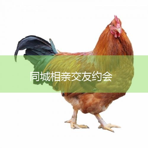 51ȵŹ(51queqiao.net),˻齻ƽ̨,йȲͬԼģʽĻ齻վ;ͣ,ͬԼᡢ齻